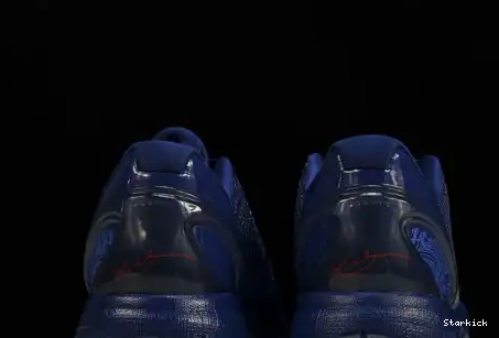 Kobe ASG 6 LA Nike 448693-400 East  0511